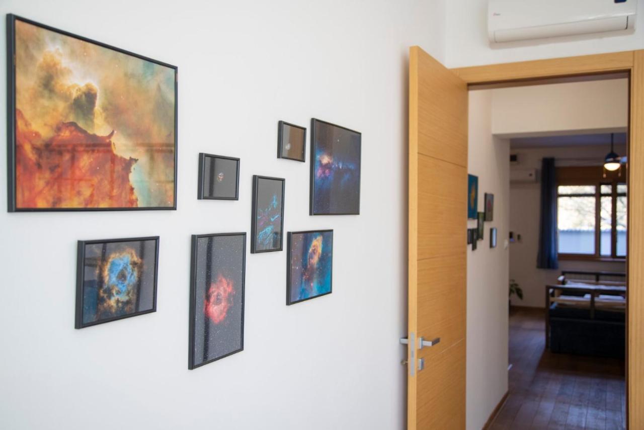 Sava Apartment Novi Sad Bagian luar foto