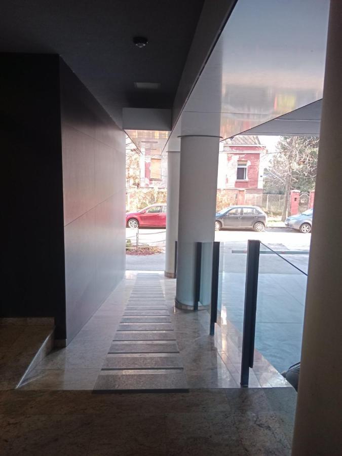 Sava Apartment Novi Sad Bagian luar foto