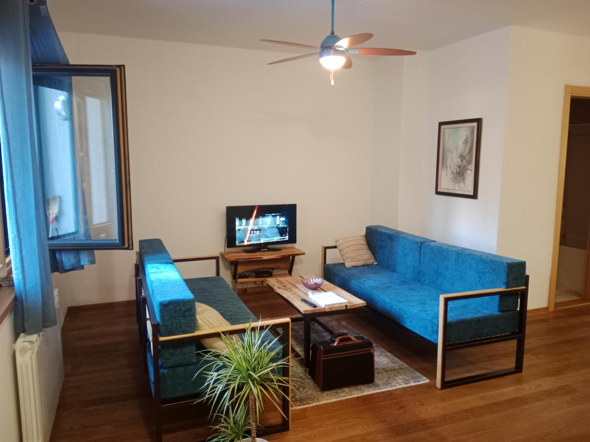 Sava Apartment Novi Sad Bagian luar foto